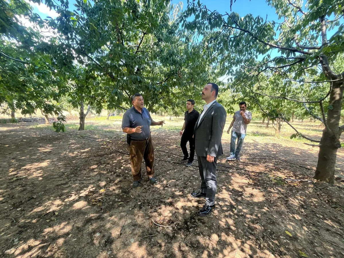Kaymakam Adem Levent Tarım Bahçelerini Ziyaret Etti