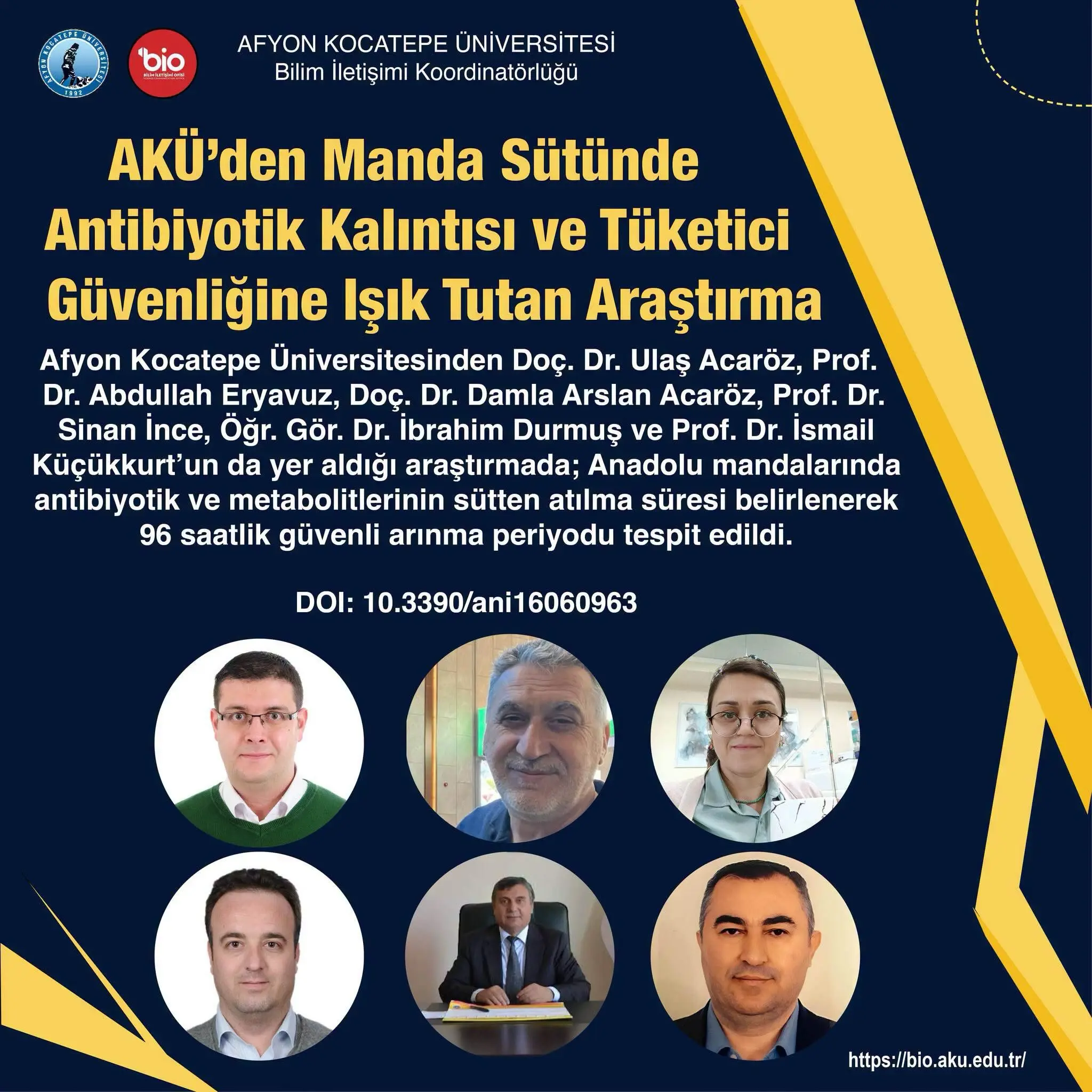 Manda Sütünde Antibiyotik Kalıntıları Araştırıldı
