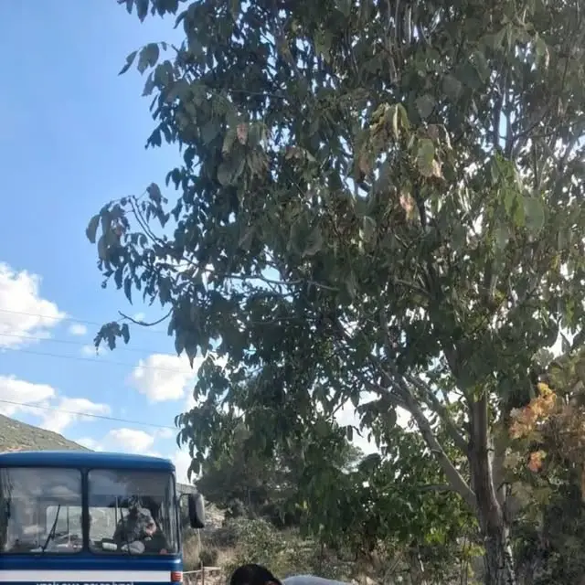 Akçaköy'deki Yangında Can Kaybı Yok