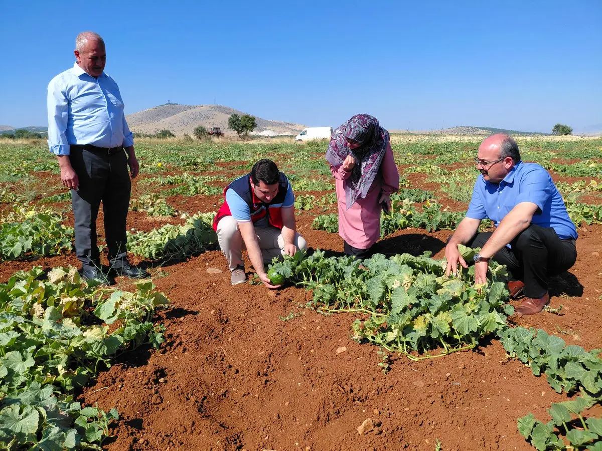 Kaymakam Çelebi Düğlek Üreticisini Ziyaret Etti