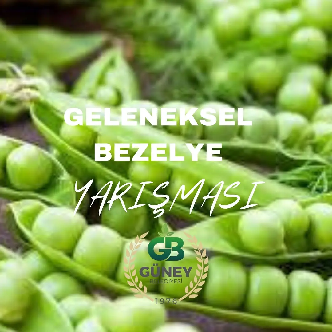 Geleneksel Bezelye Yarışması Festivalde Düzenlenecek