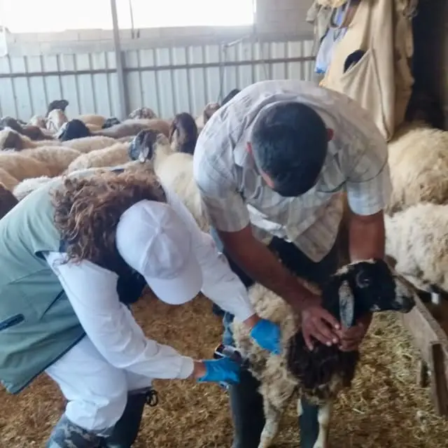 Kușburnu ve badem yetiştiriciliği eğitimi verildi