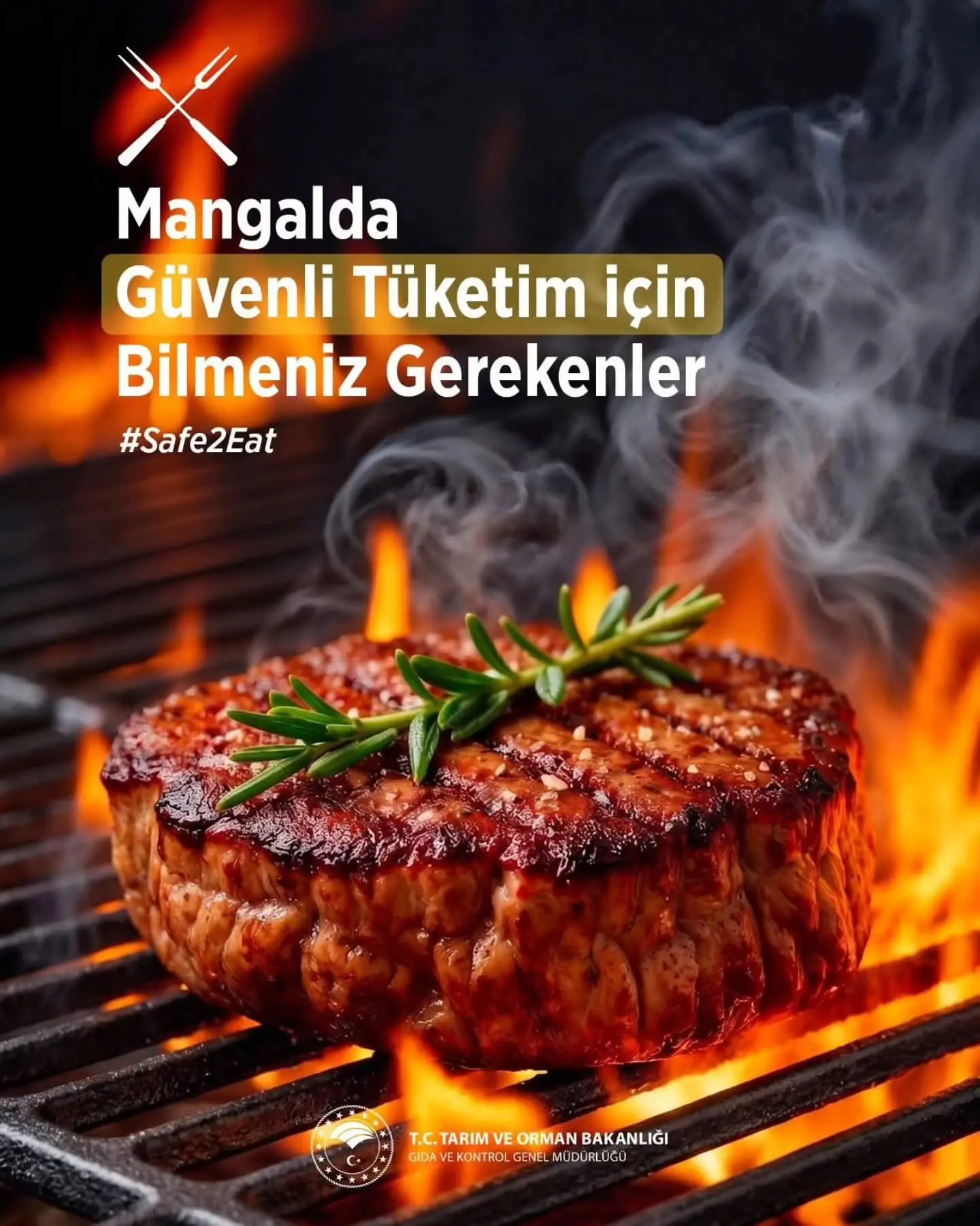 Mangal sezonu açıldı, gıda güvenliğine dikkat!