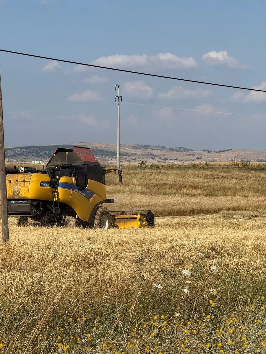 Yerli ve Milli Arpa Hasadı Kızılcakaya'da Yapıldı