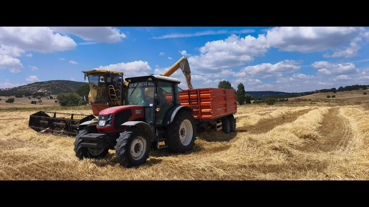Kütahya'da Yerli Tohumlarla Arpa Hasadı Yapıldı
