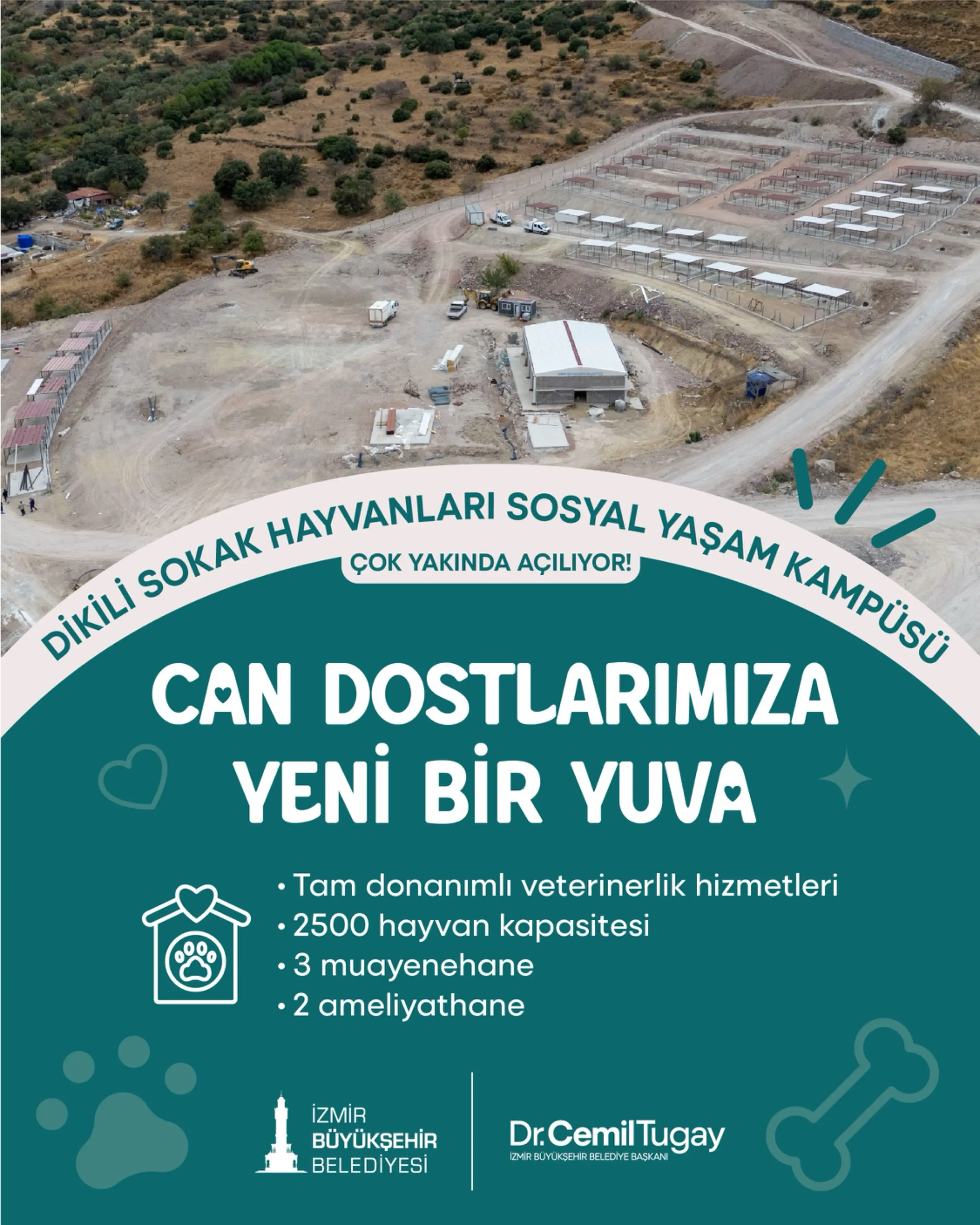 Dikili'de Yeni Sokak Hayvanları Kampüsü