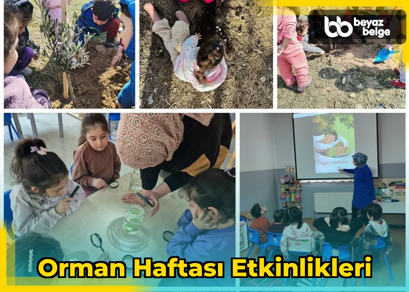 Orman Haftası Etkinlikleri