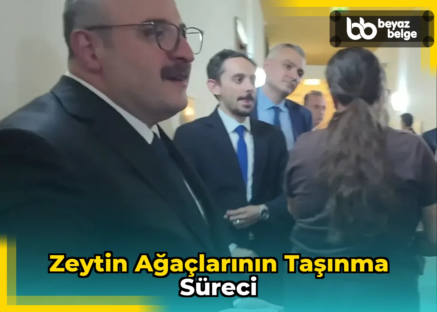 Zeytin Ağaçlarının Taşınma Süreci