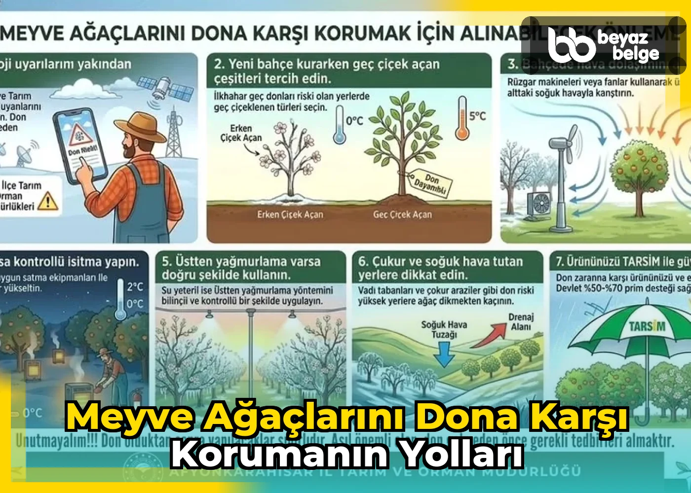 Meyve Ağaçlarını Dona Karşı Korumanın Yolları