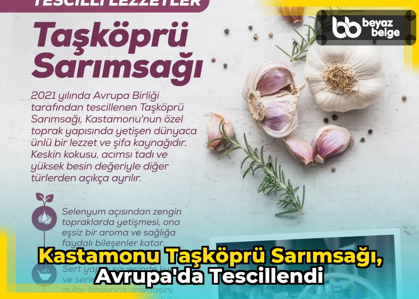 Kastamonu Taşköprü Sarımsağı, Avrupa'da Tescillendi