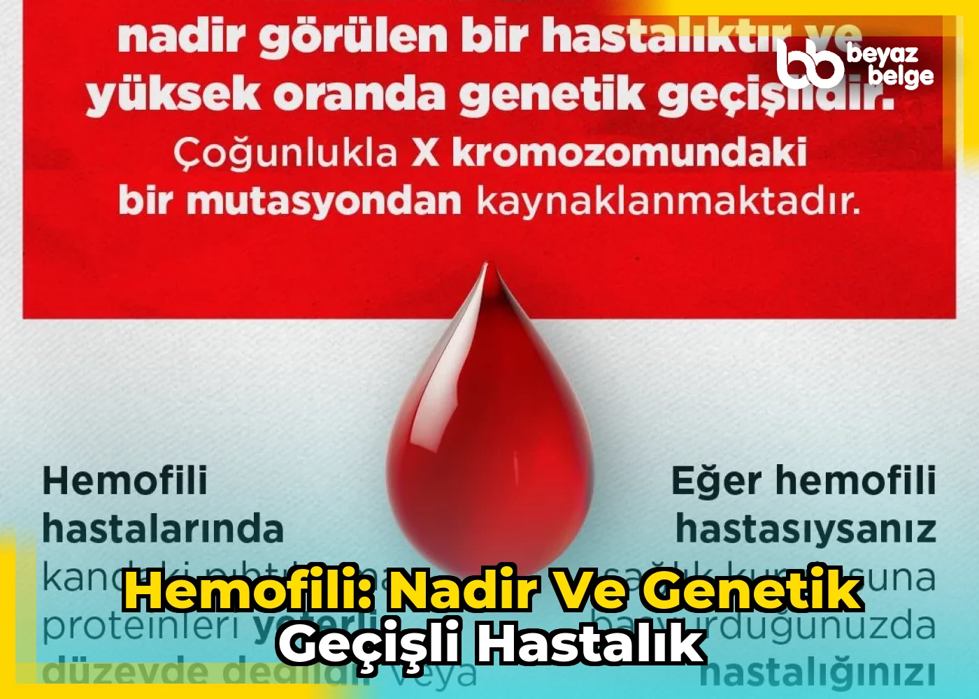 Hemofili: Nadir ve Genetik Geçişli Hastalık