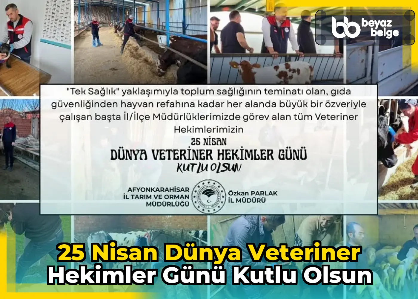25 Nisan Dünya Veteriner Hekimler Günü Kutlu Olsun