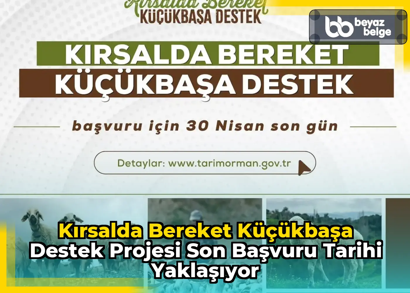 Kırsalda Bereket Küçükbaşa Destek Projesi Son Başvuru Tarihi Yaklaşıyor