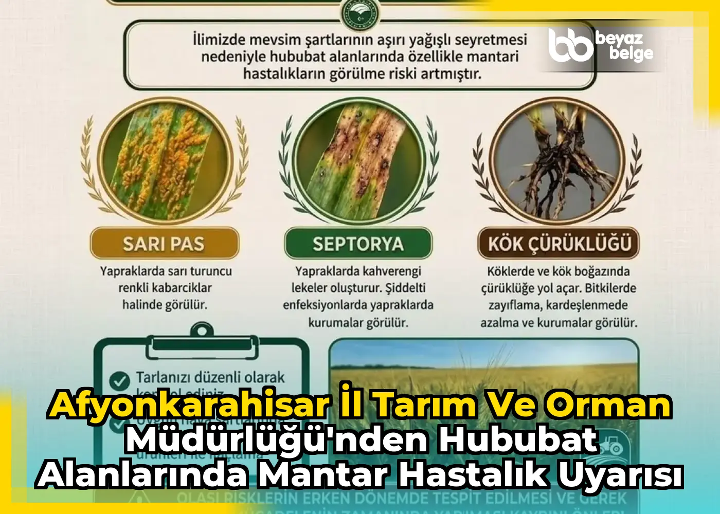 Afyonkarahisar İl Tarım ve Orman Müdürlüğü'nden Hububat Alanlarında Mantar Hastalık Uyarısı