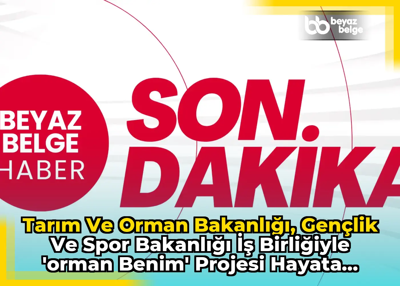 Tarım ve Orman Bakanlığı, Gençlik ve Spor Bakanlığı İş Birliğiyle 'Orman Benim' Projesi Hayata Geçirildi