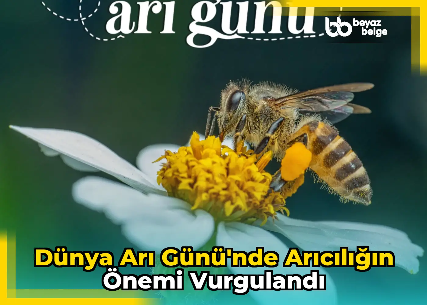 Dünya Arı Günü'nde arıcılığın önemi vurgulandı