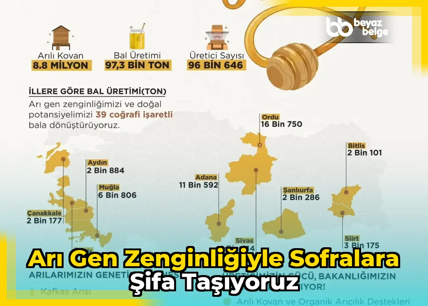 Arı Gen Zenginliğiyle Sofralara Şifa Taşıyoruz