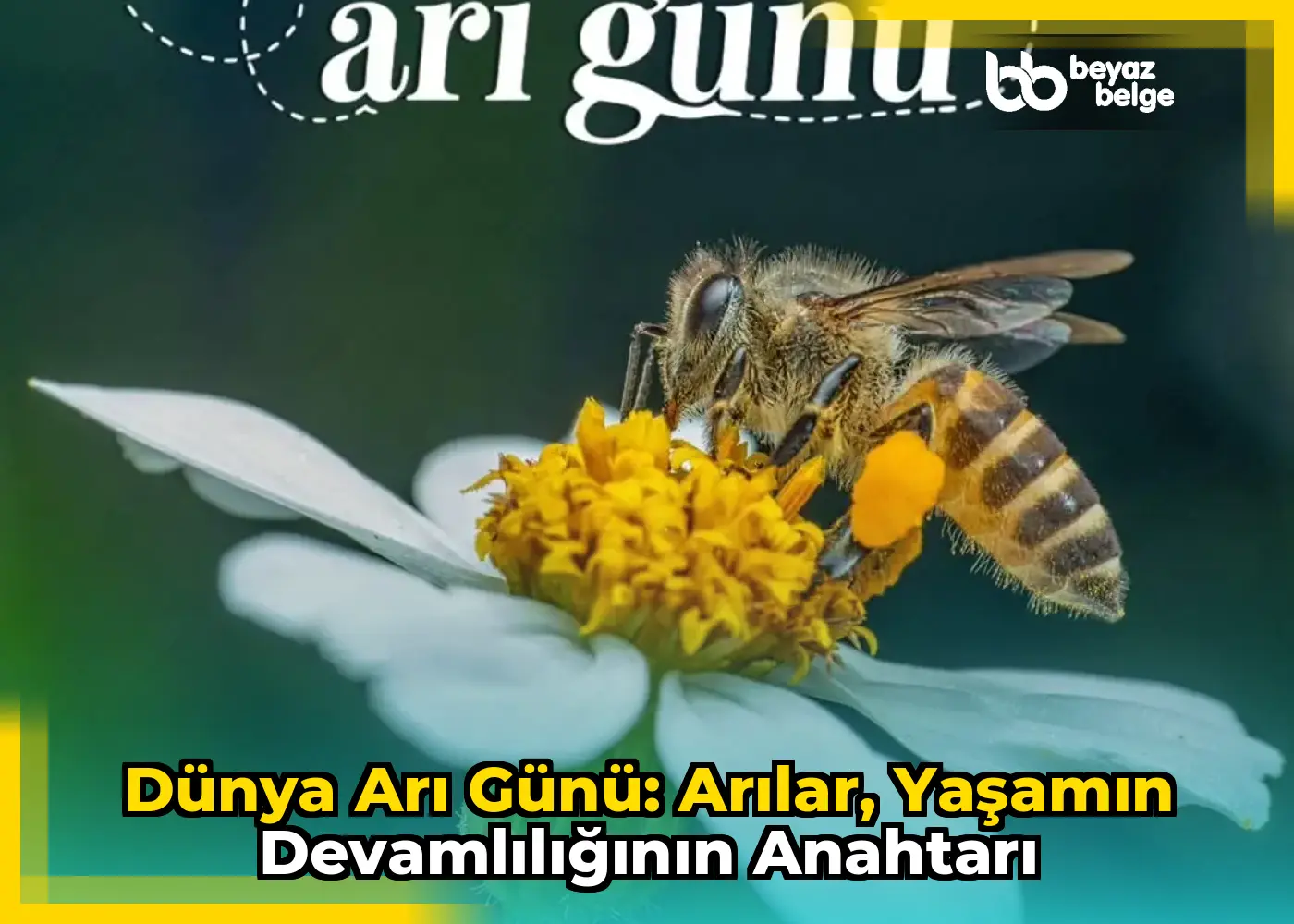 Dünya Arı Günü: Arılar, Yaşamın Devamlılığının Anahtarı