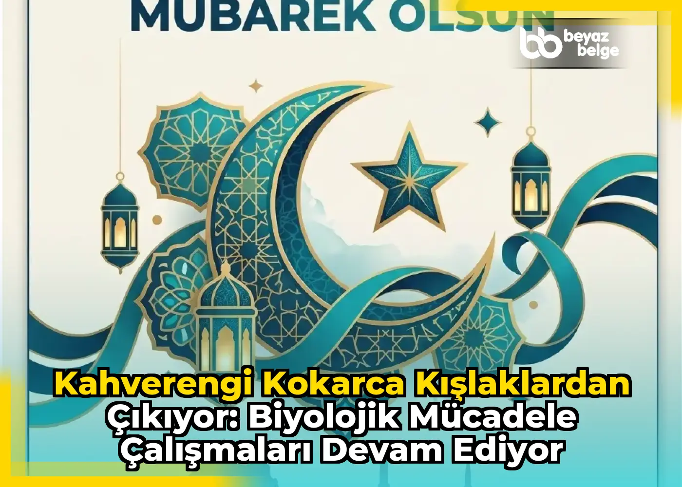 Kahverengi Kokarca Kışlaklardan Çıkıyor: Biyolojik Mücadele Çalışmaları Devam Ediyor