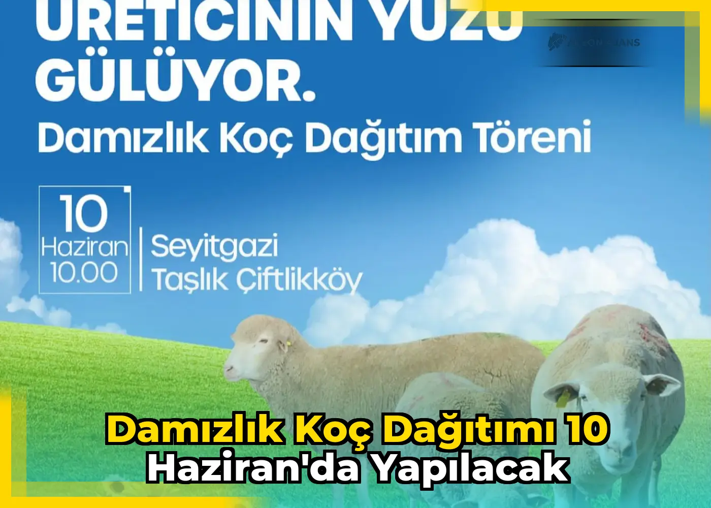 Damızlık koç dağıtımı 10 Haziran'da yapılacak