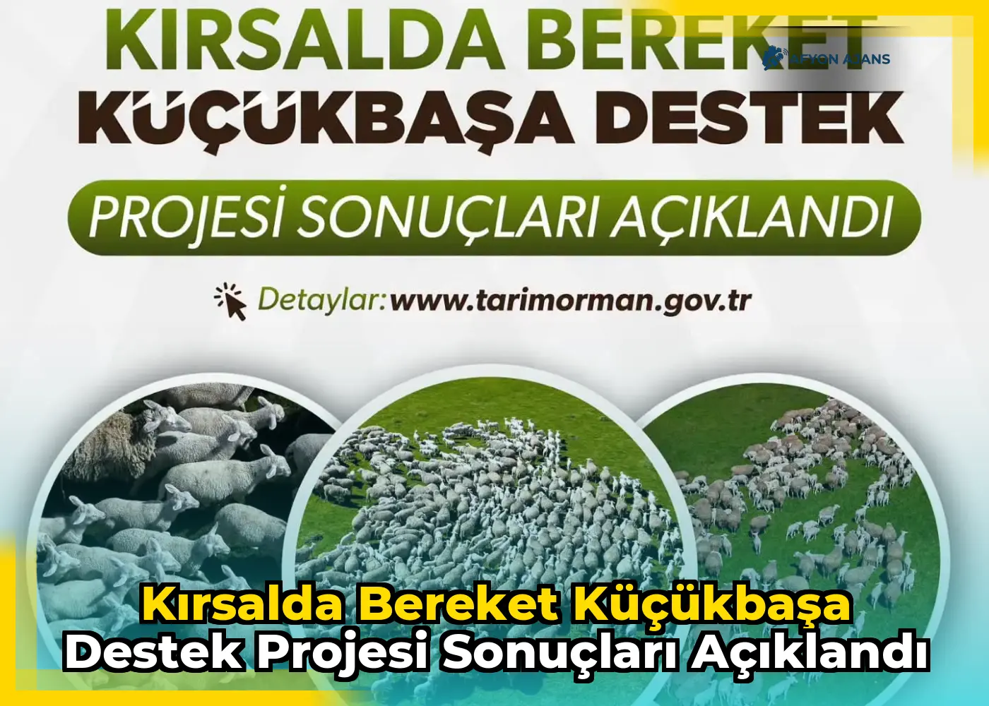 Kırsalda Bereket Küçükbaşa Destek Projesi Sonuçları Açıklandı