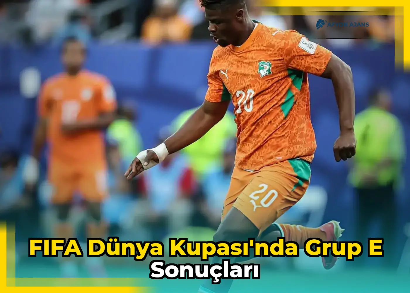FIFA Dünya Kupası'nda Grup E Sonuçları