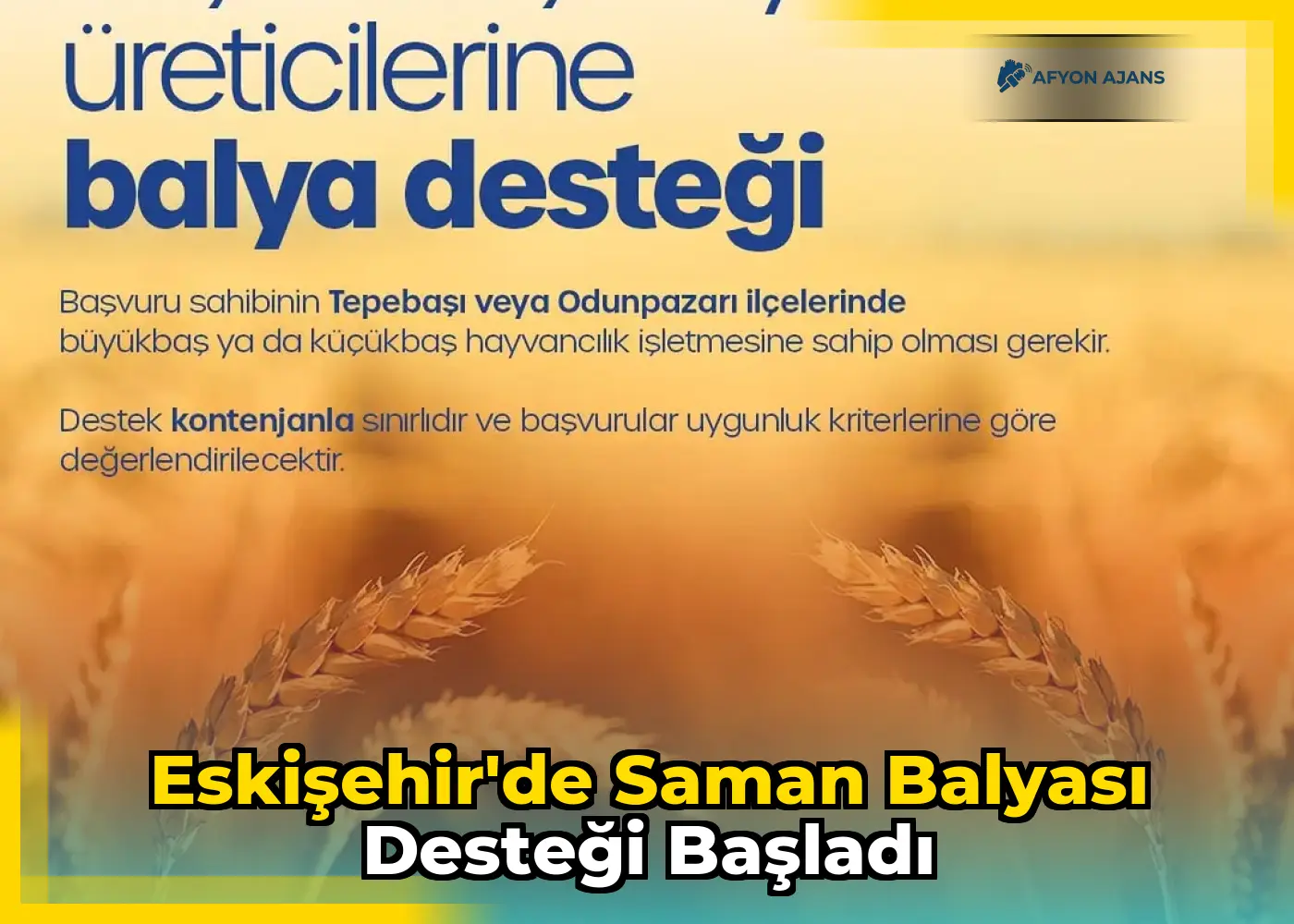 Eskişehir'de Saman Balyası Desteği Başladı