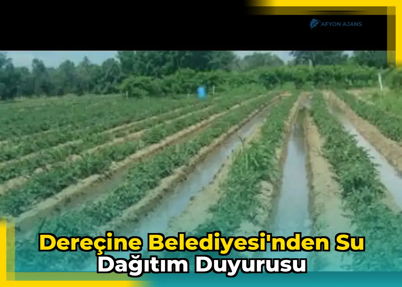 Dereçine Belediyesi'nden su dağıtım duyurusu