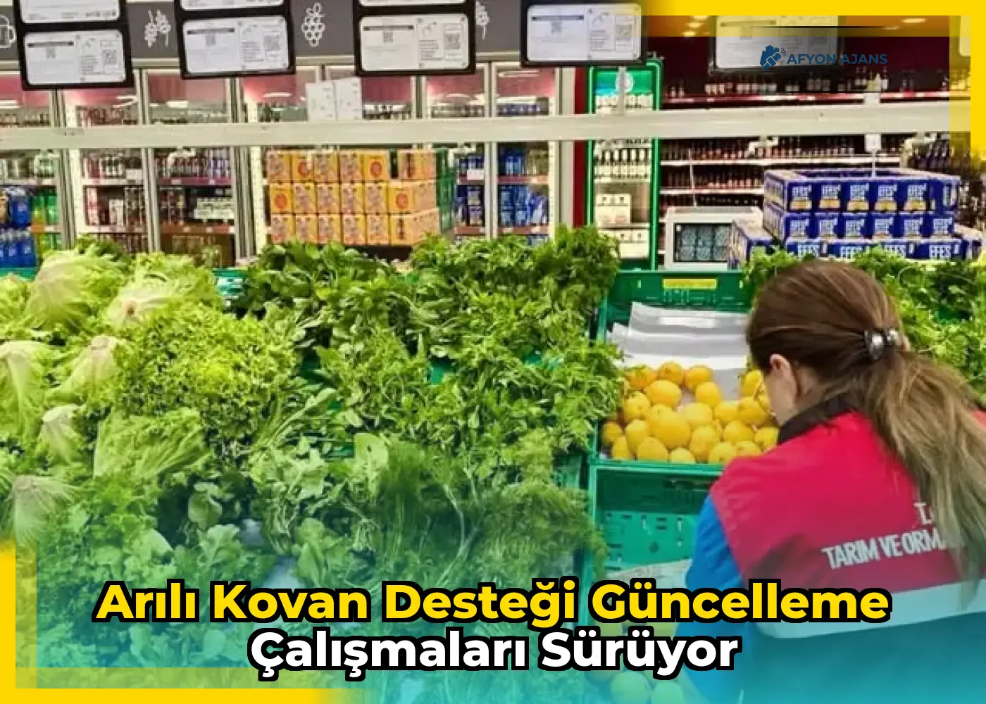 Arılı kovan desteği güncelleme çalışmaları sürüyor