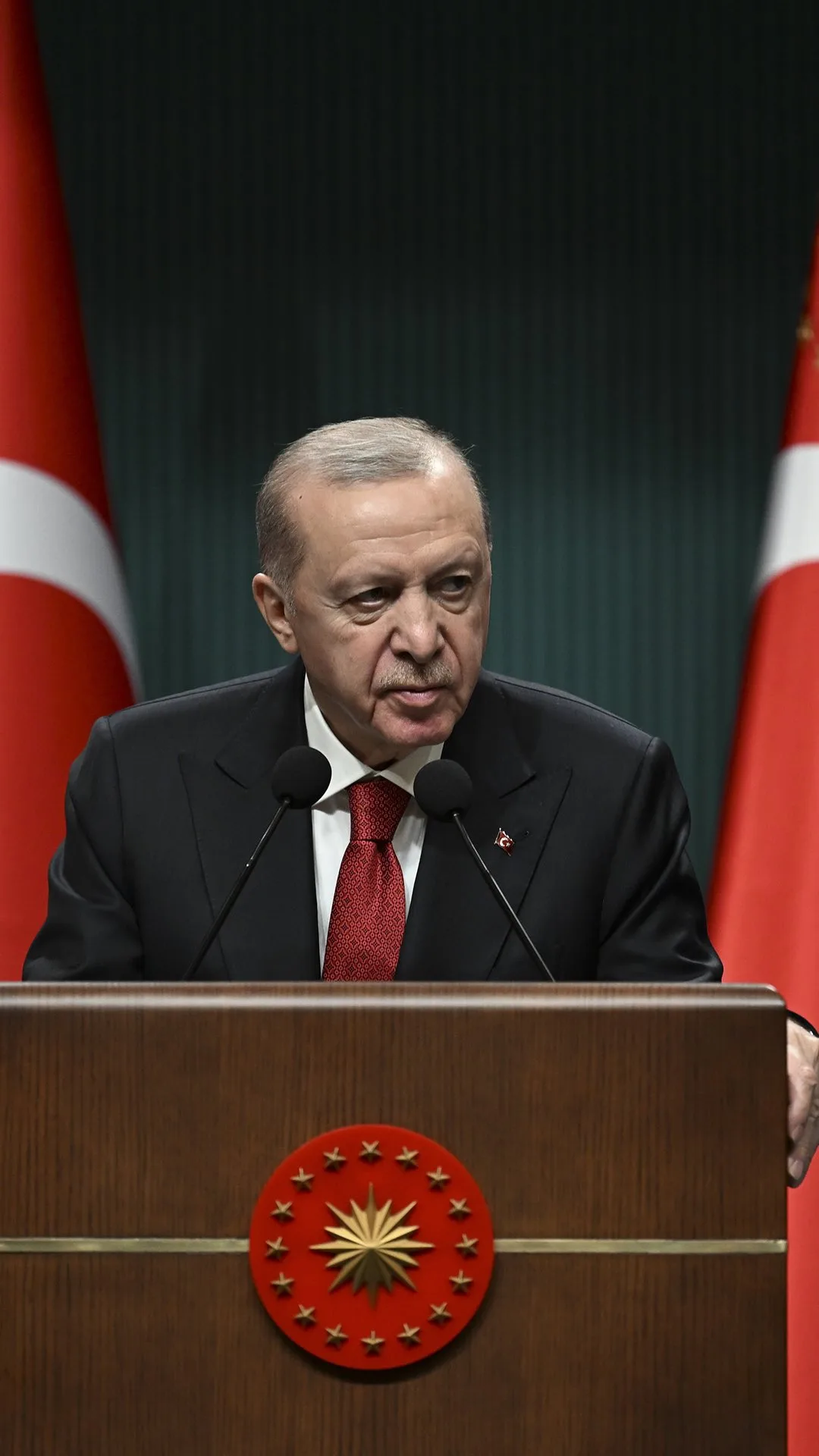 Türkiye Cumhurbaşkanı Recep Tayyip Erdoğan: Devlet ve millet olarak güçlenerek çıkacağız