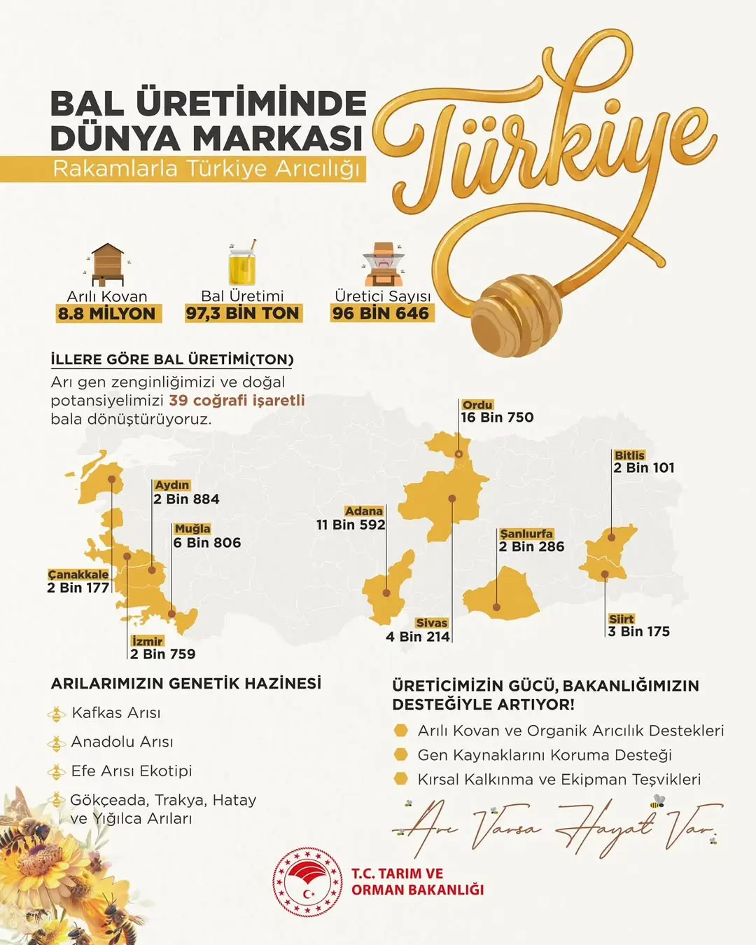 Arı Gen Zenginliğiyle Sofralara Şifa Taşıyoruz