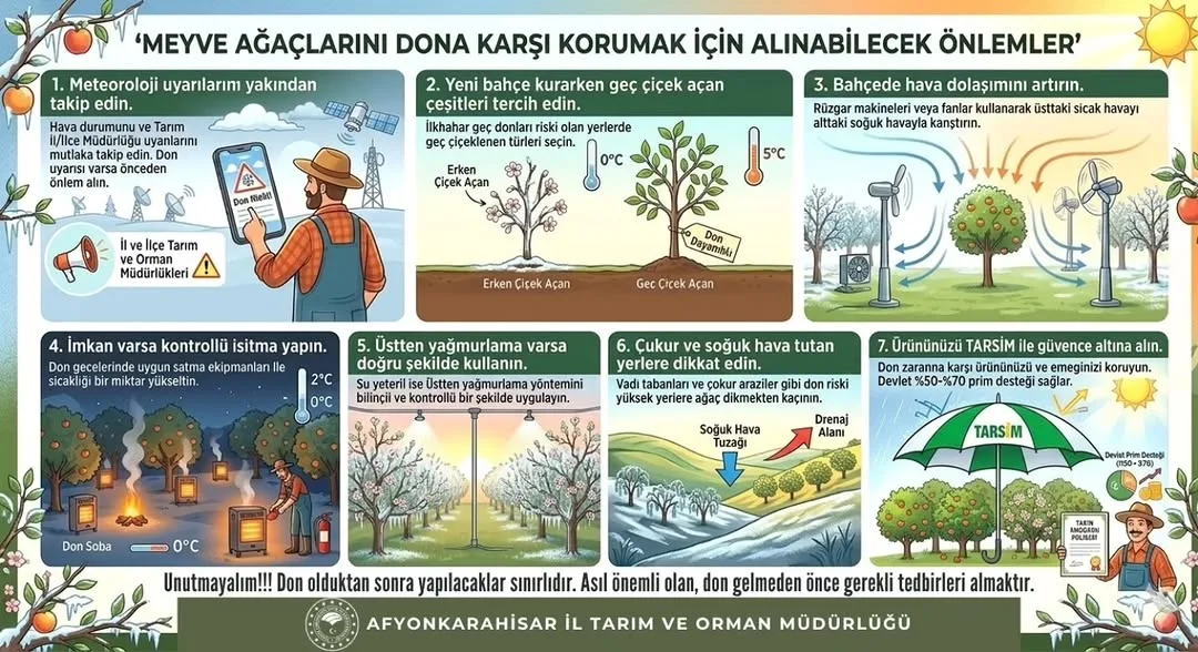 Meyve Ağaçlarını Dona Karşı Korumanın Yolları