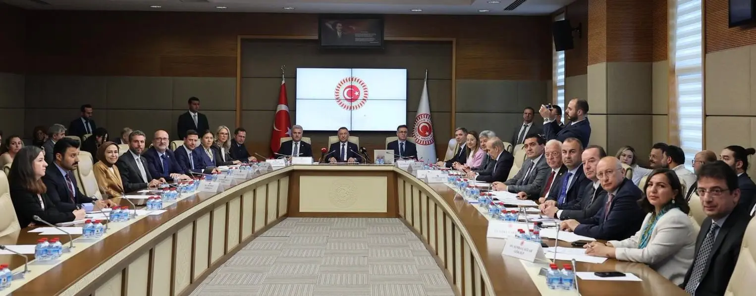 Musa Kulaklıkaya, TBMM Dışişleri Komitesine Sunum Yaptı