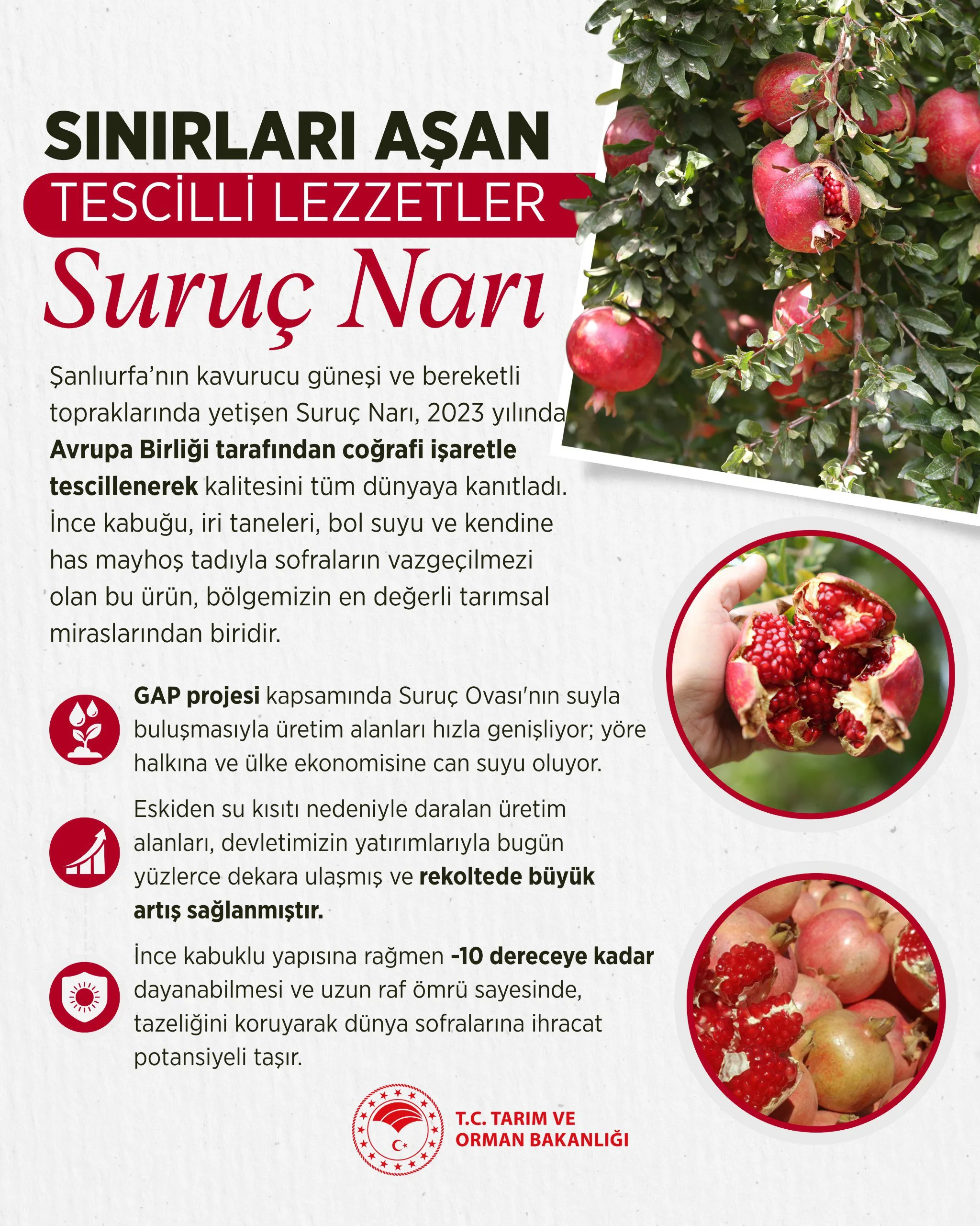 Suruç Narı, AB coğrafi işareti aldı