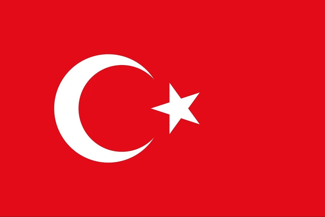 İstanbul Kuzey Marmara Otoyolu'nda Trafik Kazası: Polis Memuru Şehit Oldu