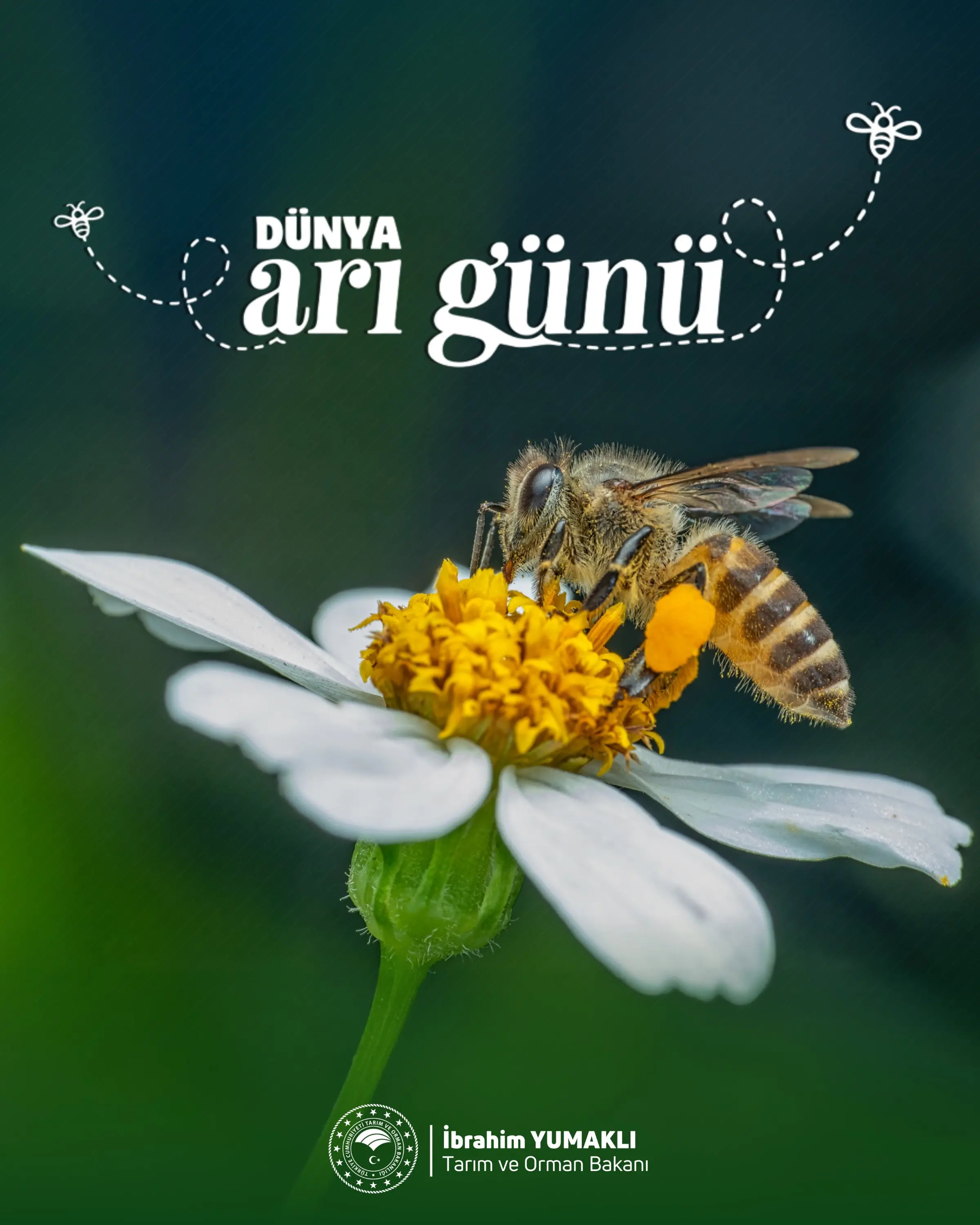 Dünya Arı Günü'nde arıcılığın önemi vurgulandı