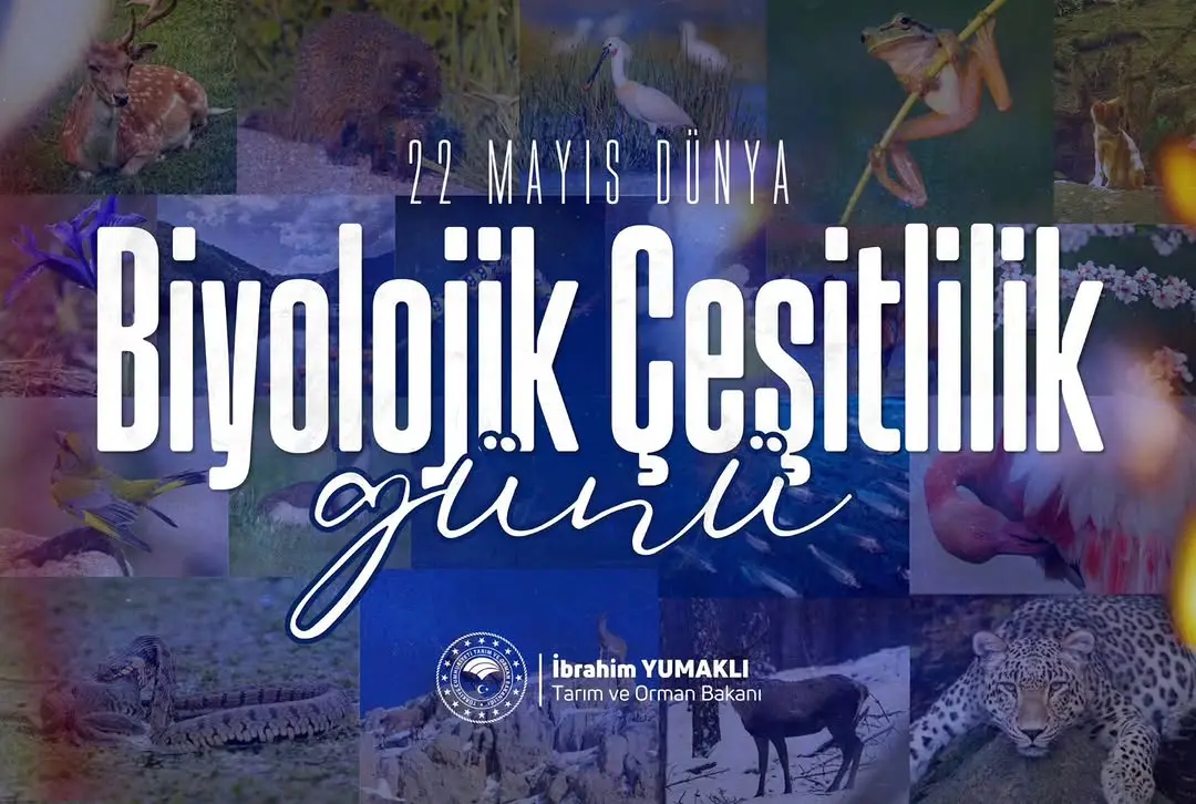 Anadolu'nun Biyolojik Çeşitliliği: Doğanın Eşsiz Dengesi